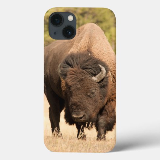 Coques Case-Mate iPhone Bison (Verso)
