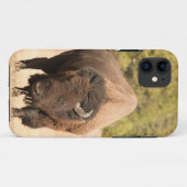 Coques Case-Mate iPhone Bison (Dos (Horizontal))
