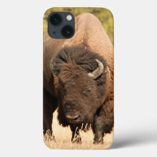 Etui iPhone Case-Mate Bison