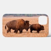 Coques Case-Mate iPhone Bison Américain (Bison Bison) Vache Et Veau (Verso (horizontal))