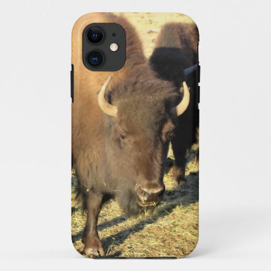Coques Case-Mate iPhone Bison dans le Colorado (Dos)