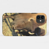 Coques Case-Mate iPhone Bison dans le Colorado (Dos (Horizontal))