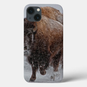 Coques Pour iPhone Bison de Yellowstone