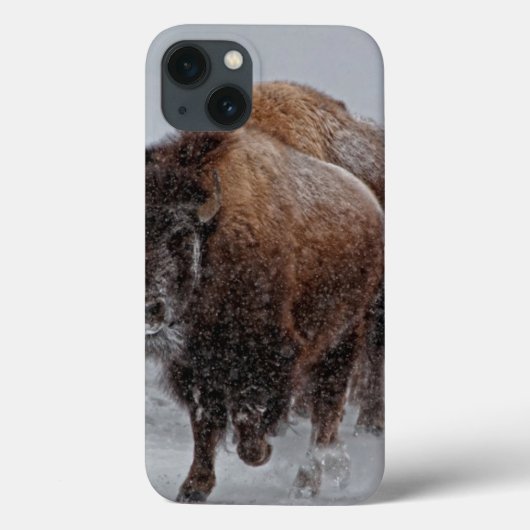Coques Case-Mate iPhone Bison de Yellowstone (Verso)