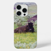 Coques Case-Mate iPhone Bison Dreams Phone Wallet (Verso)