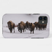 Coques Case-Mate iPhone Bison en hiver (Dos (Horizontal))
