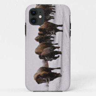 Coque iPhone 11 Bison en hiver