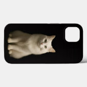 Coques Case-Mate iPhone Black 4 Luxe iPhone 13, Turkish Angora Cat (Verso (horizontal))