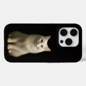 Coques Case-Mate iPhone Black 4 Luxe iPhone 15 Pro Mate, Angora Cat (Verso (horizontal))