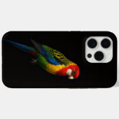Coques Case-Mate iPhone Black 4 Luxe iPhone 15 Pro Max, Eastern Rosella (Verso (horizontal))