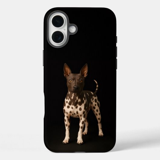 Coques Case-Mate iPhone Black 4 Luxe iPhone 16 Plus, Hairless Terrier Dog (Verso)