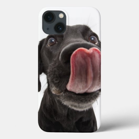 Coques Case-Mate iPhone Black Labrador Licking (Verso)