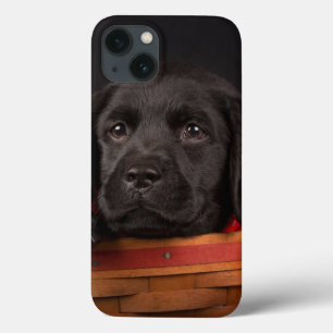 Case-Mate iPhone Case Black labrador retriever puppy in a basket