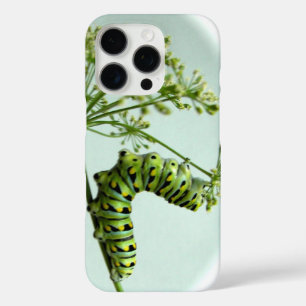 Coques iPhone 16 Pro Black Swallowtail Caterpillar mangeant du persil