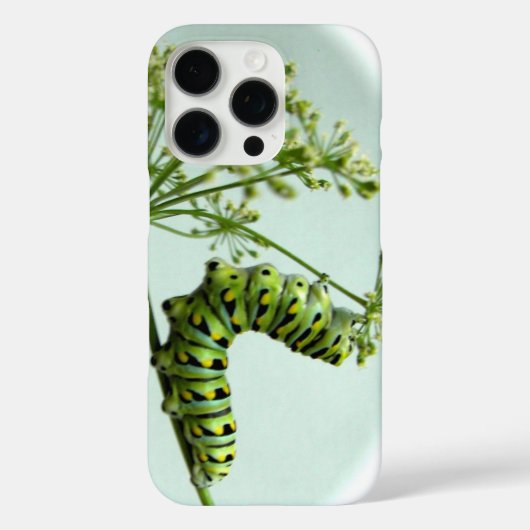 Coques Case-Mate iPhone Black Swallowtail Caterpillar mangeant du persil (Verso)