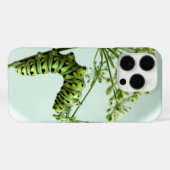 Coques Case-Mate iPhone Black Swallowtail Caterpillar mangeant du persil (Verso (horizontal))