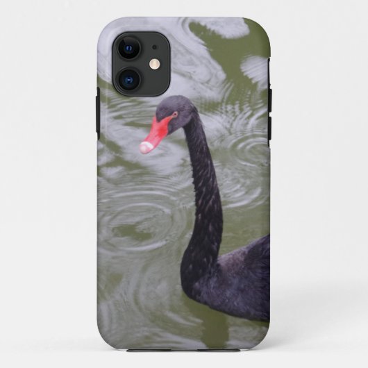 Coques Case-Mate iPhone Black Swan iPhone 5/5S, à peine là (Dos)