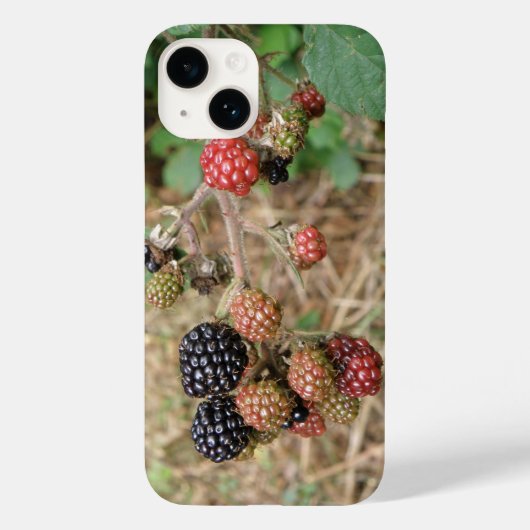 Coques Case-Mate iPhone Blackberry Bonanza (Verso)
