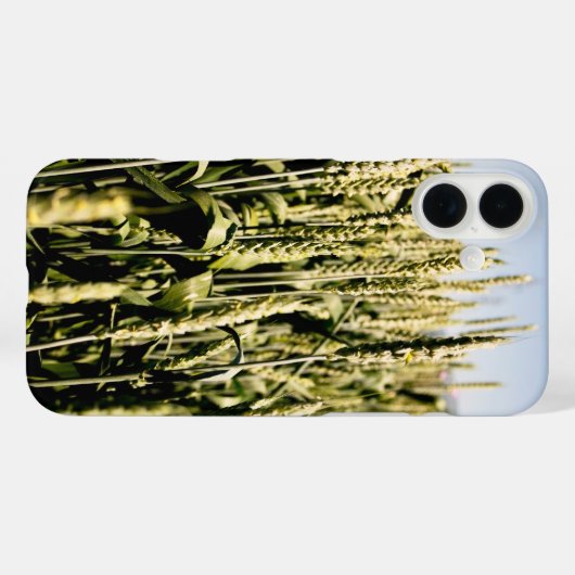 Coques Case-Mate iPhone Blé (Verso (horizontal))