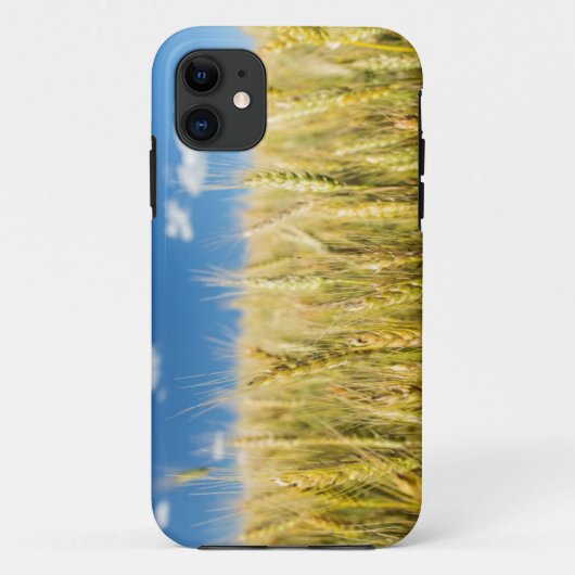 Coques Case-Mate iPhone Blé de Kansas (Dos)