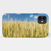Coques Case-Mate iPhone Blé de Kansas (Dos (Horizontal))