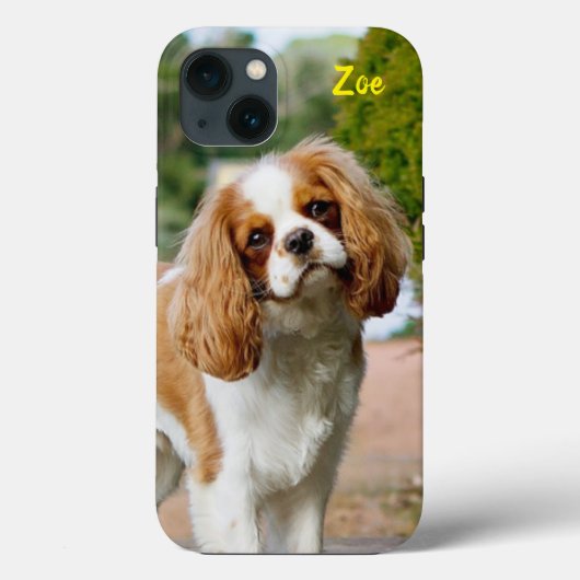 Coques Case-Mate iPhone Blenheim Cavalier King Charles Spaniel Chien Chien (Verso)