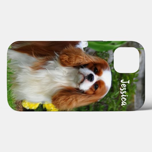 Coques Case-Mate iPhone Blenheim Cavalier King Charles Spaniel Chien Chien (Verso (horizontal))