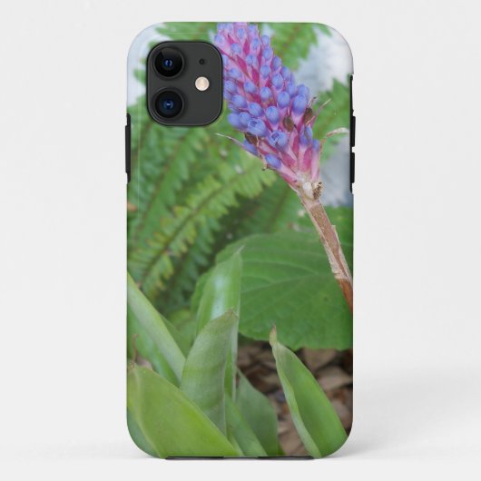 Coques Case-Mate iPhone Bleu cône fleur bromélique (Dos)