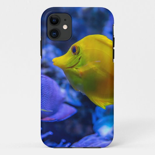 Coques Case-Mate iPhone Bleu Et Jaune Deux Beaux Poissons (Dos)