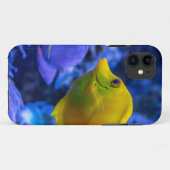 Coques Case-Mate iPhone Bleu Et Jaune Deux Beaux Poissons (Dos (Horizontal))