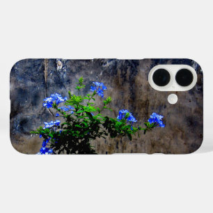 Coques iPhone 16 Bleu Plumbago