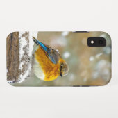 Coques Case-Mate iPhone Bleuet de l'Est en neige - Photo originale (Dos (Horizontal))