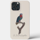 Coques Case-Mate iPhone Blue-Crowned Lorikeet, Vini Australis (Verso)