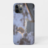 Coques Case-Mate iPhone Blue Jay (Dos)