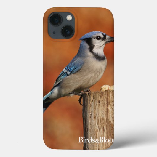 Coques Case-Mate iPhone Blue Jay (Verso)