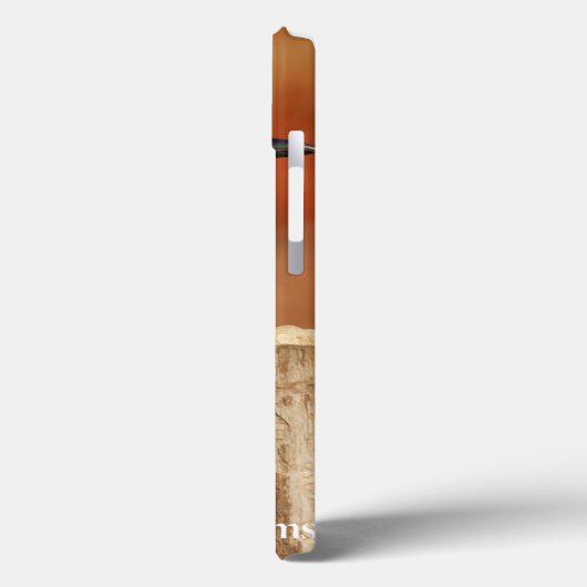 Coques Case-Mate iPhone Blue Jay (Verso / Gauche)