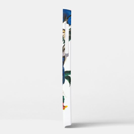 Coques Case-Mate iPhone Blue Jay par John James Audubon (Verso / Gauche)