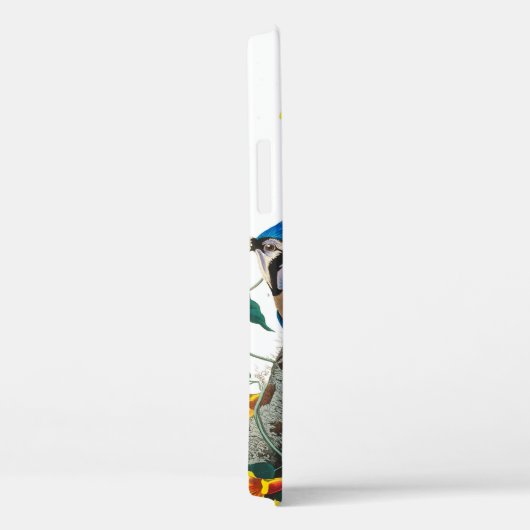 Coques Case-Mate iPhone Blue Jay par John James Audubon (Verso / Droite)