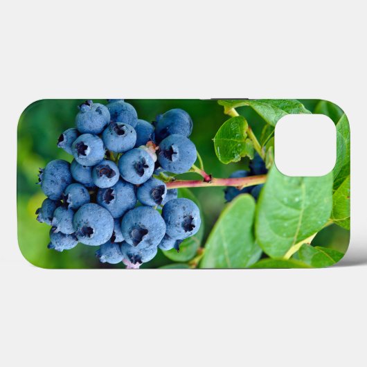Coques Case-Mate iPhone Blueberries Sur Bush (Verso (horizontal))