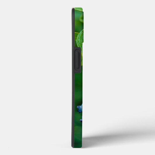 Coques Case-Mate iPhone Blueberries Sur Bush (Verso / Droite)
