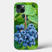 Coques Case-Mate iPhone Blueberries Sur Bush (Verso)
