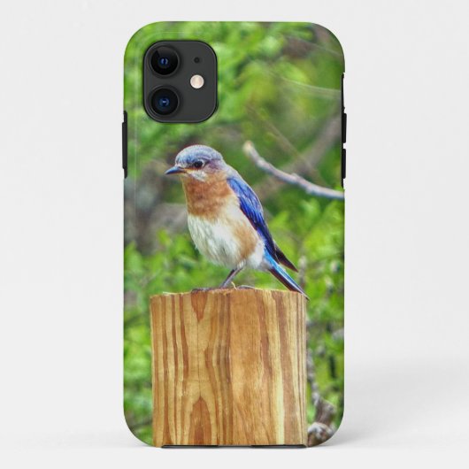 Coques Case-Mate iPhone Bluebird sur un poteau de clôture (Dos)