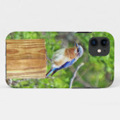 Coques Case-Mate iPhone Bluebird sur un poteau de clôture (Dos (Horizontal))