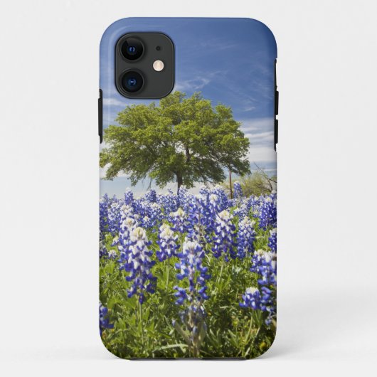 Coques Case-Mate iPhone Bluebonnets du Texas (lupinus texensis) et chêne (Dos)