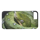 Coques Case-Mate iPhone Boa vert de serpent vert d'arbre en Bolivie (Dos (Horizontal))