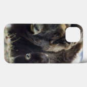 Coques Case-Mate iPhone Boeuf musqué avec veau (Verso (horizontal))