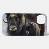Coques Case-Mate iPhone Boeuf musqué avec veau (Verso (horizontal))