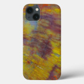 Coques Case-Mate iPhone Bois pétrifié (Verso)