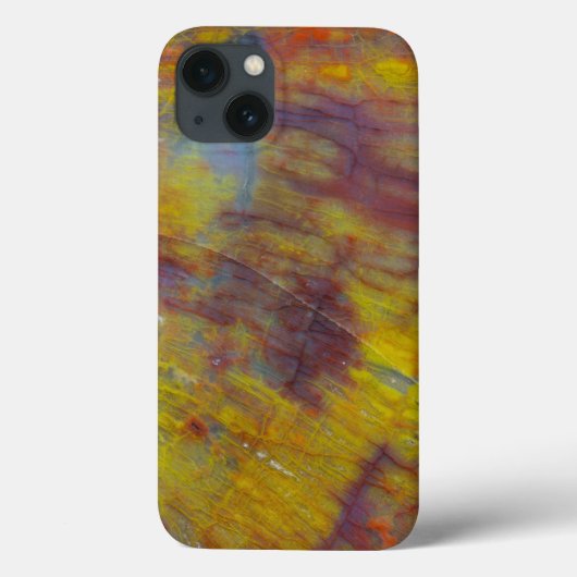 Coques Case-Mate iPhone Bois pétrifié (Verso)