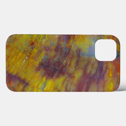 Coques Case-Mate iPhone Bois pétrifié (Verso (horizontal))